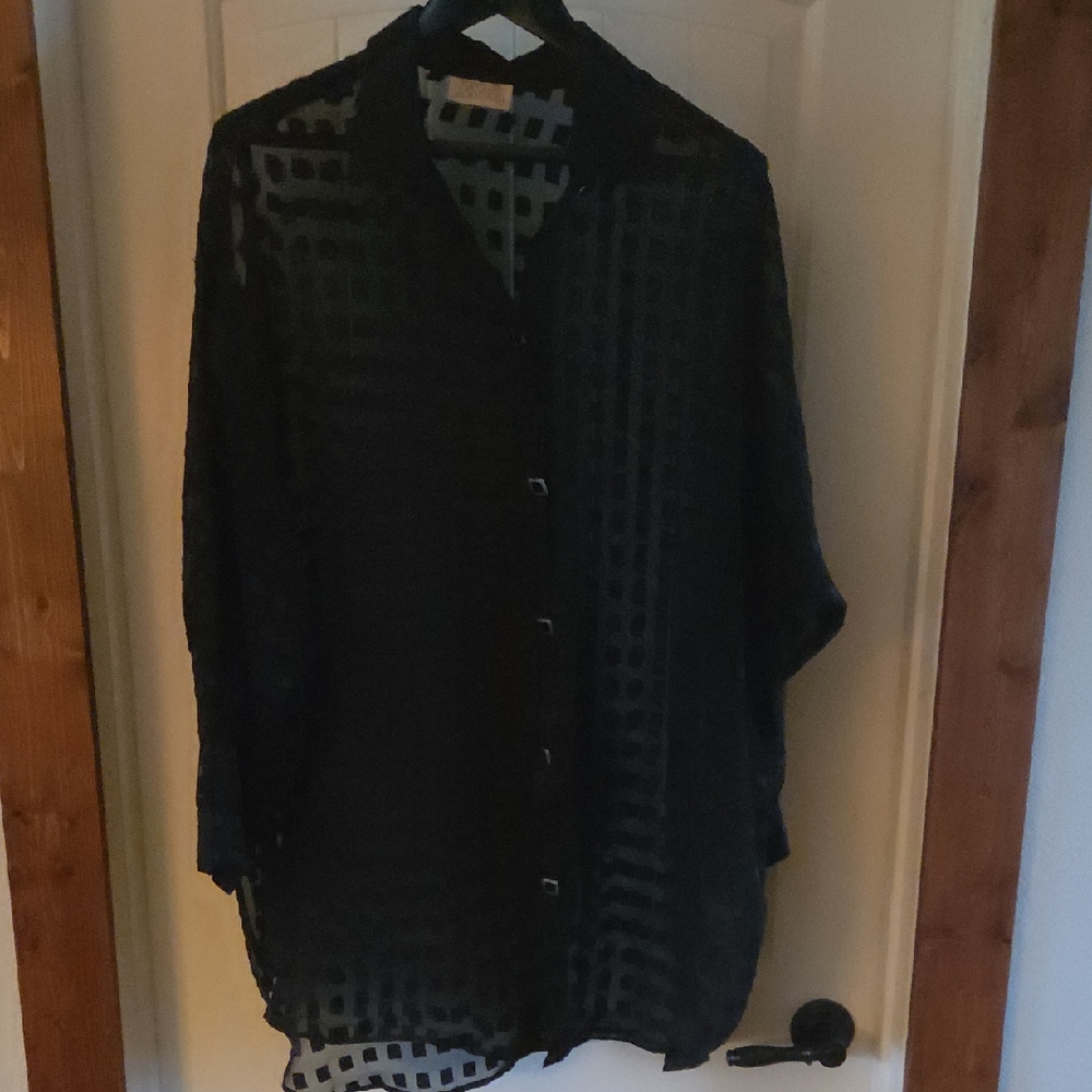 Elegant Black Sheer Tunic Top